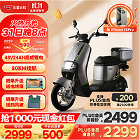 ZUB 五星鉆豹 新國(guó)標(biāo)電動(dòng)自行車(chē)48V24AH鋰電池電瓶車(chē) B13 尾箱版