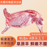 抱年 寧夏灘羊肉  半只羊10斤裝