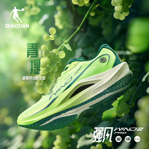 喬丹強(qiáng)風(fēng)2.0PRO專業(yè)馬拉松全掌碳板競速競訓(xùn)跑步鞋運(yùn)動鞋男鞋跑鞋