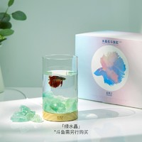 PETKIT 小佩 起源紀(jì) 水晶石斗魚缸 綠水晶款