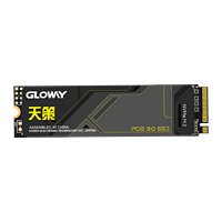 GLOWAY 光威 天策系列 512GB SSD固態(tài)硬盤(pán) 512GB （PCIe 3.0x4 ）