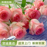 云南鮮花批發(fā)品質(zhì)玫瑰 艾莎（鐵頭公主）-10支