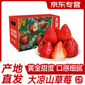 大涼山草莓牛奶草莓水果新鮮送禮品物中秋節(jié) 3斤裝帶箱【單果8-12g】