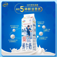 yili 伊利 鮮牛奶 屋頂包 950ml