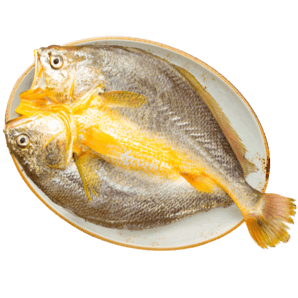 黃小漁冰鮮寧德黃花魚 大黃魚生鮮 魚類新鮮水產(chǎn)海鮮海魚源頭直發(fā) BAP認證冰鮮大黃魚400g/條*3