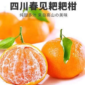松林美果現(xiàn)摘現(xiàn)發(fā)春見耙耙柑新鮮水果新鮮橘子當(dāng)季整箱 帶箱5-6斤中果