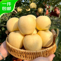 Mr.Seafood 京鮮生 山東煙臺(tái) 黃金維納斯蘋果凈重4.5斤 單果170g起