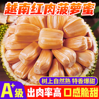 鮮福林越南紅心黃肉菠蘿蜜當(dāng)季新鮮水果整箱整顆菠蘿蜜 精選8-9斤整個(gè)