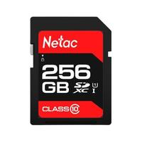 Netac 朗科 P600 專業(yè)版 SD存儲卡 256GB（UHS-I、C10、U1）