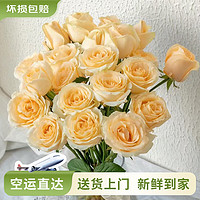 云南鮮花批發(fā)品質(zhì)玫瑰百合水養(yǎng)鮮切花 香檳（蜜桃雪山）-10支