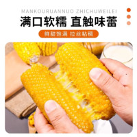 麥刻 黑龍江 黃糯玉米棒 220g*10支