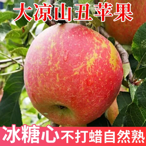 四川大涼山丑蘋(píng)果冰糖心新鮮當(dāng)季紅富士孕婦水果整箱包郵