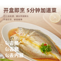 1米8 一米八深遠(yuǎn)海三去大黃魚(yú)2條共680g