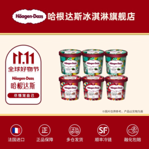 H?agen·Dazs 哈根達(dá)斯 冬季限定！紅絲絨芝士蛋糕+薄荷巧克力冰冰淇淋100ml*6(兩個口味任選)