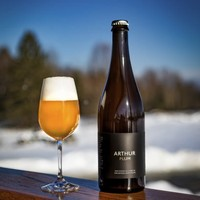 Hill Farmstead 農(nóng)舍山 亞瑟 李子版 農(nóng)舍艾爾啤酒 750ml單瓶裝