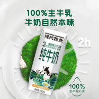 MODERN FARMING 現(xiàn)代牧業(yè) 純牛奶250ml*12盒