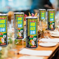 椰樹 牌椰汁罐裝245ml×24(罐)椰子汁正宗海南特產(chǎn)水植物蛋白椰奶飲料