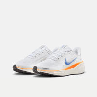 NIKE 耐克 PEGASUS 41 通用款跑步鞋 HM4820-100