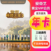 iQIYI 愛(ài)奇藝 黃金會(huì)員2年卡