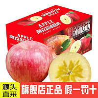 AKSU APPLE 阿克蘇蘋(píng)果 正宗新疆 冰糖心蘋(píng)果  凈重8.5斤 單果70-80mm