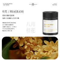 Thalo 塔羅 固體車載香薰 【桂花香調(diào)】 1瓶