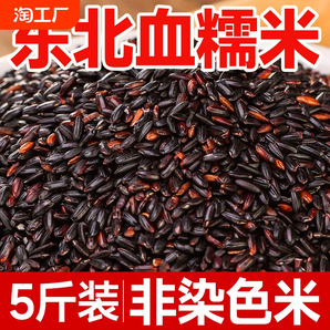 東北正宗血糯米黑糯米紫糯米粘黏新米飯團(tuán)奶茶店專用五谷雜糧組合