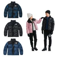 THE NORTH FACE 北面 FW22款 ICON 700蓬鵝絨1996羽絨服