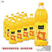 Coca-Cola 可口可樂 美汁源果粒橙1.25L*12瓶整箱