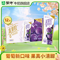 MENGNIU 蒙牛 真果粒葡萄味牛奶飲品250g×12盒