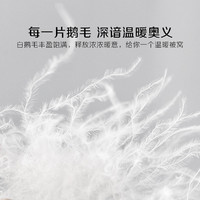 BLISS 百麗絲 水星家紡被子抗菌鵝毛a類獨立方格鎖溫保暖冬季被子宿舍家用 抗菌鵝毛冬被 150cm×210cm