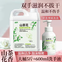 圣潔康 洗手液 2.5kg*1瓶+洗手液 600ml*1瓶