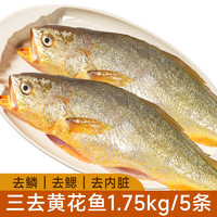 20點(diǎn)！黃小漁 三去黃花魚 1.75kg/5條 寧德大黃魚