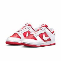 NIKE 耐克 DUNK LOW RETRO DD1391-600