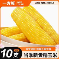 一支鮮 東北黃糯玉米棒 180g*10棒