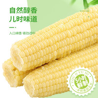 珍谷誘惑 東北糯玉米 180g*10穗