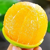 天樂(lè)優(yōu)選 麻陽(yáng)冰糖橙  4.5-5斤 單果60-70mm