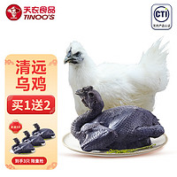 天農(nóng) 食品 供港烏雞1.2斤 山林散養(yǎng)烏鳳雞烏骨雞整雞肉 月子餐燉湯生鮮食材