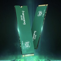 FANXIANG 梵想 鋁片款 M.2 NVMe 高速固態(tài)硬盤 2TB PCIe 4.0