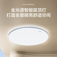 Panasonic 松下 吸頂燈臥室燈全光譜護(hù)眼led燈超薄燈具 銀色簡(jiǎn)約款50瓦 HHXQ5160