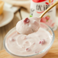 yoplait 優(yōu)諾 低溫酸奶乳酸菌兒童酸奶果粒生牛乳9杯