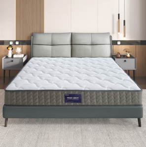 QuanU 全友 DG70001 椰棕整網(wǎng)彈簧床墊 150*200*21cm