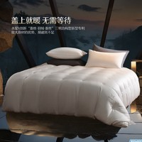 MERCURY 水星家紡 三明治構(gòu)型蠶絲+法國(guó)進(jìn)口羽絨被芯A類90%(150x210cm)