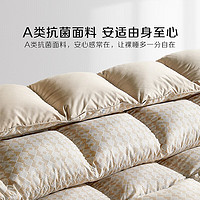 BLISS 百麗絲 水星家紡 抗菌鵝毛a類獨立方格被子 220cm×240cm