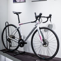 Wilier Triestina GTR 105 R7120整車帶 公路自行車  12速