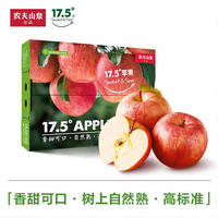 NONGFU SPRING 農(nóng)夫山泉 17.5°蘋果 阿克蘇蘋果 M果徑77±4mm 16個(gè)裝 凈重6斤 禮盒裝