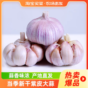 特價(jià)山東紫皮大蒜頭干蒜批發(fā)新鮮特大號(hào)紫皮大蒜子便宜原產(chǎn)地直發(fā)