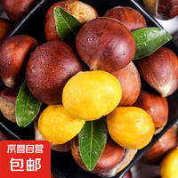 JX 京喜 丹東新鮮板栗  生板栗 炒菜專用新鮮板栗重量可能有10%水分流失 丹東鮮板栗 2斤