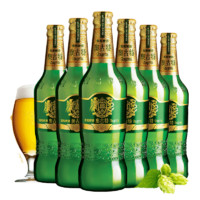 TSINGTAO 青島啤酒 奧古特啤酒12度 480mL 6瓶 2箱裝 買(mǎi)1送扎杯