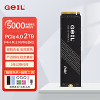 GeIL 金邦 P4H系列 M.2 NVMe 固態(tài)硬盤 2TB PCI-E4.0