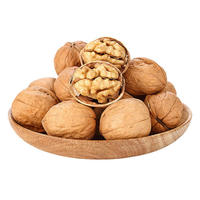 堅(jiān)芽樂 薄皮核桃 新疆核桃 500g/袋